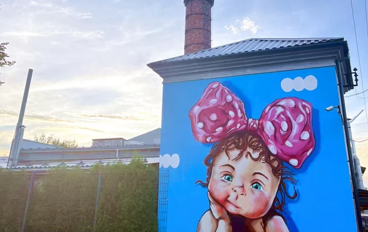 На крышу фабрики Мякиши принес ребенка в пеленке высокий аист На крышу фабрики Мякиши принес ребенка в пеленке высокий аист