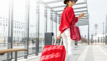 Одну из трёх опций нового тарифа могут выбрать клиенты компании Red Wings