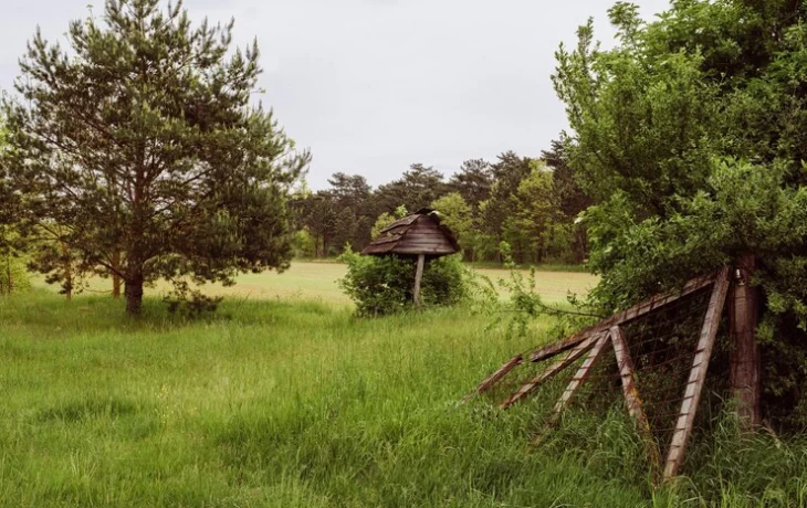 Фермер, возрождающий заброшенное село, ищет помощника, готового к переезду Фермер, возрождающий заброшенное село, ищет помощника, готового к переезду