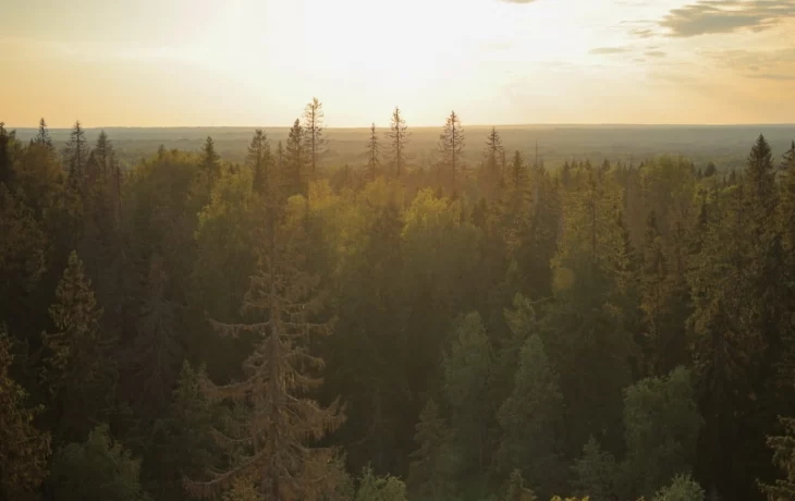 Погружение в историю: что ждёт вас в Новгородской области? Погружение в историю: что ждёт вас в Новгородской области?