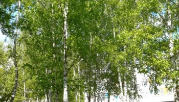 Внесите свой вклад в развитие экологической науки