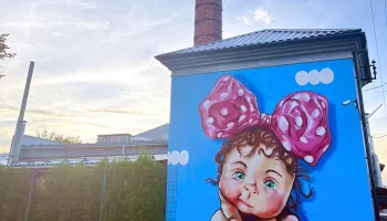 На крышу фабрики Мякиши принес ребенка в пеленке высокий аист