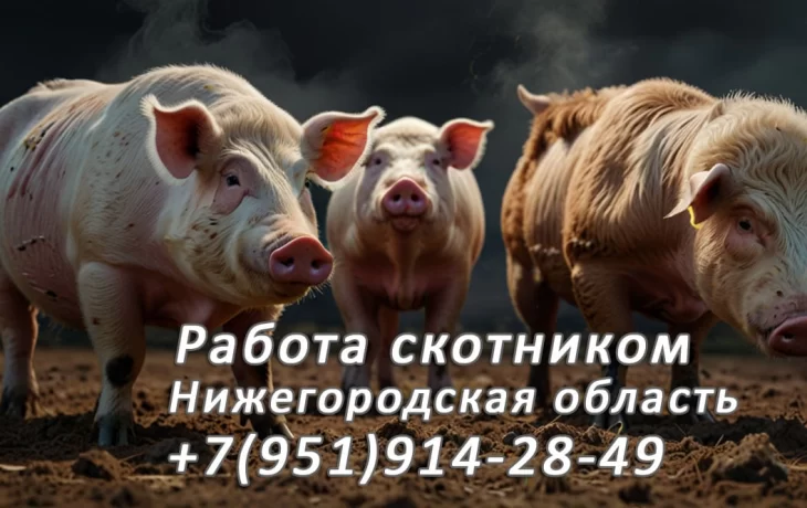 Уезжайте в тайгу и наслаждайтесь природой, зарабатывая хорошие деньги Уезжайте в тайгу и наслаждайтесь природой, зарабатывая хорошие деньги